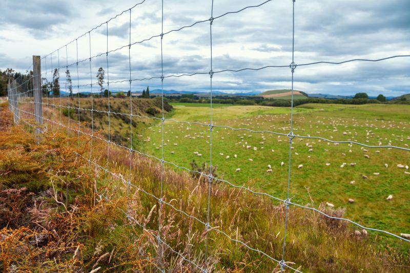 Livestock Fencing Installation